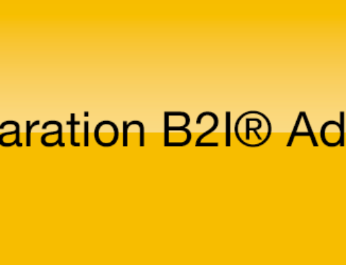 Préparation B2I® Adultes