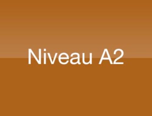 Stage FLE – Niveau A2