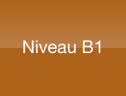 Stage FLE – Niveau B1
