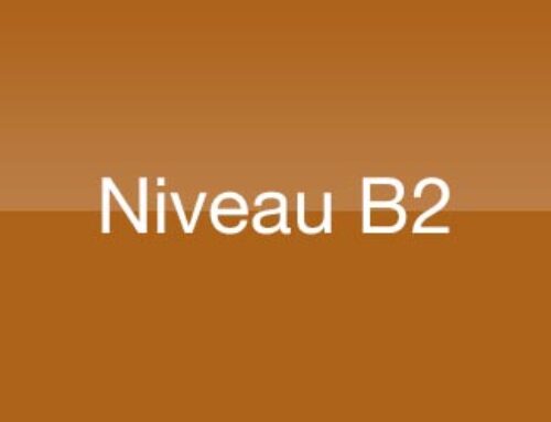 Stage FLE – Niveau B2